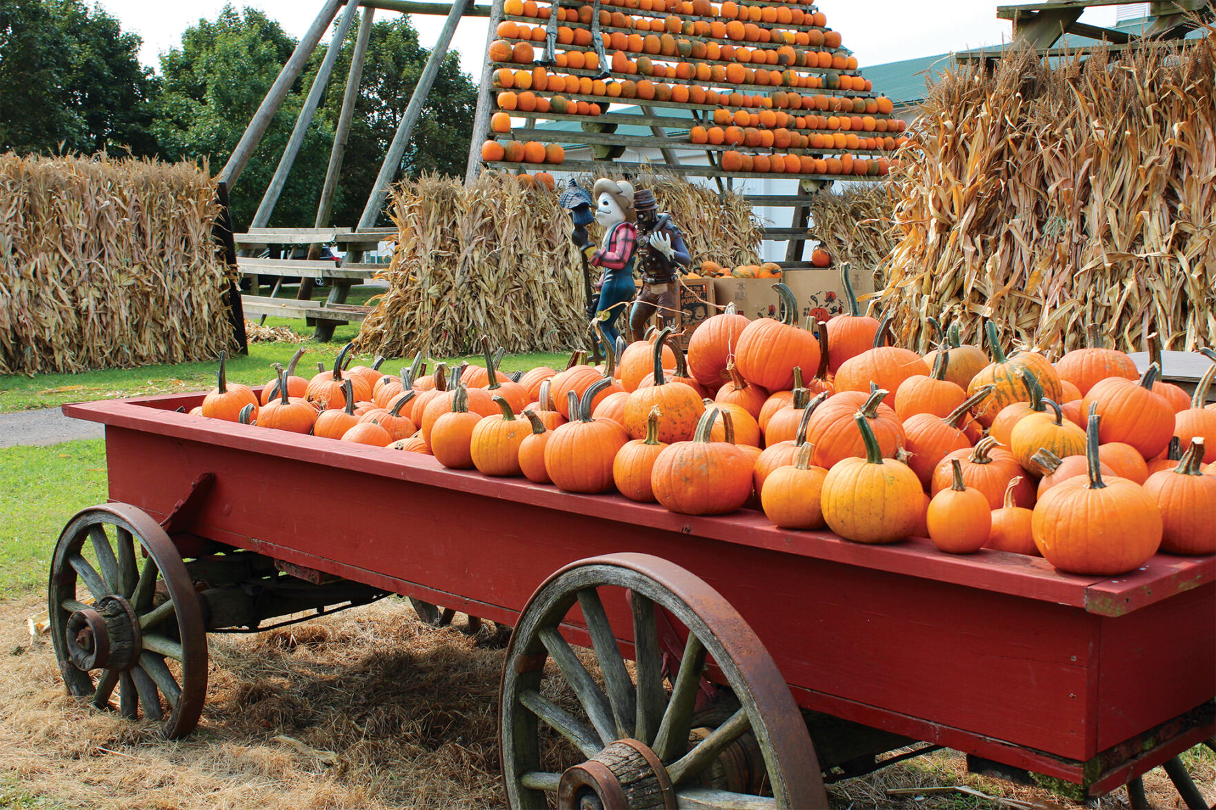 Pumpkinville